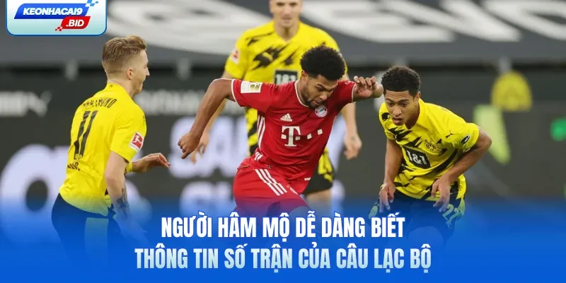 Người hâm mộ dễ dàng biết thông tin số trận của câu lạc bộ
